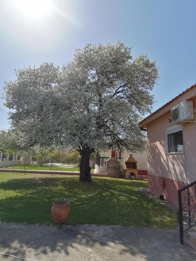 Αξέχαστη διαμονή - Unforgettable accommodation Nea Kallikrateia Εξωτερικό φωτογραφία