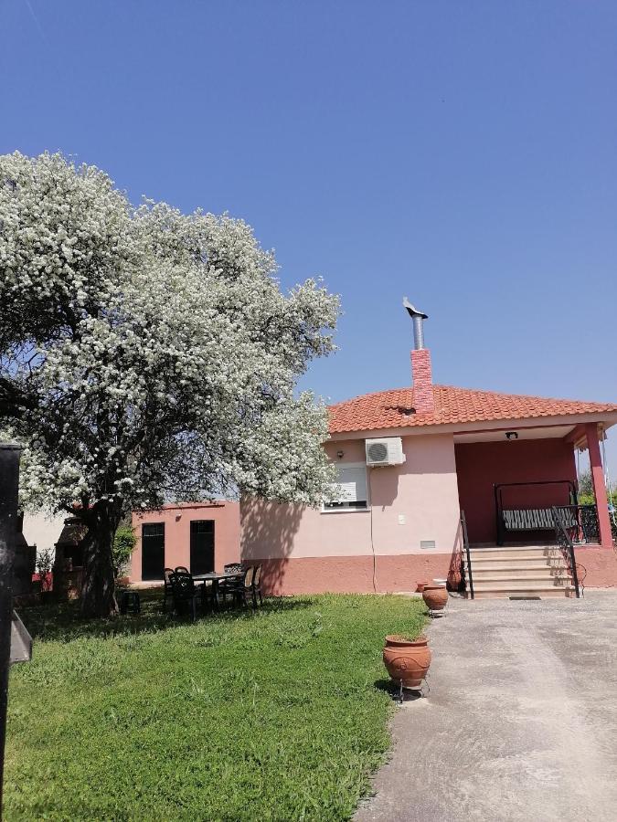 Αξέχαστη διαμονή - Unforgettable accommodation Nea Kallikrateia Εξωτερικό φωτογραφία